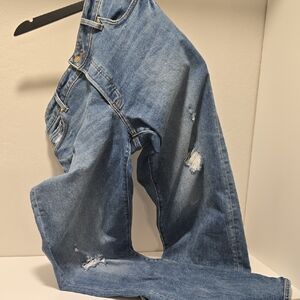 Banana Republic Stylish Distressed Blue Jeans